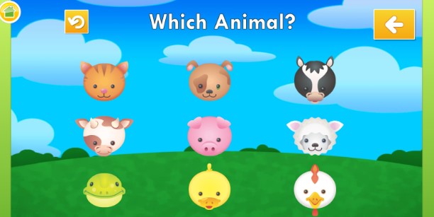 Learn about animals