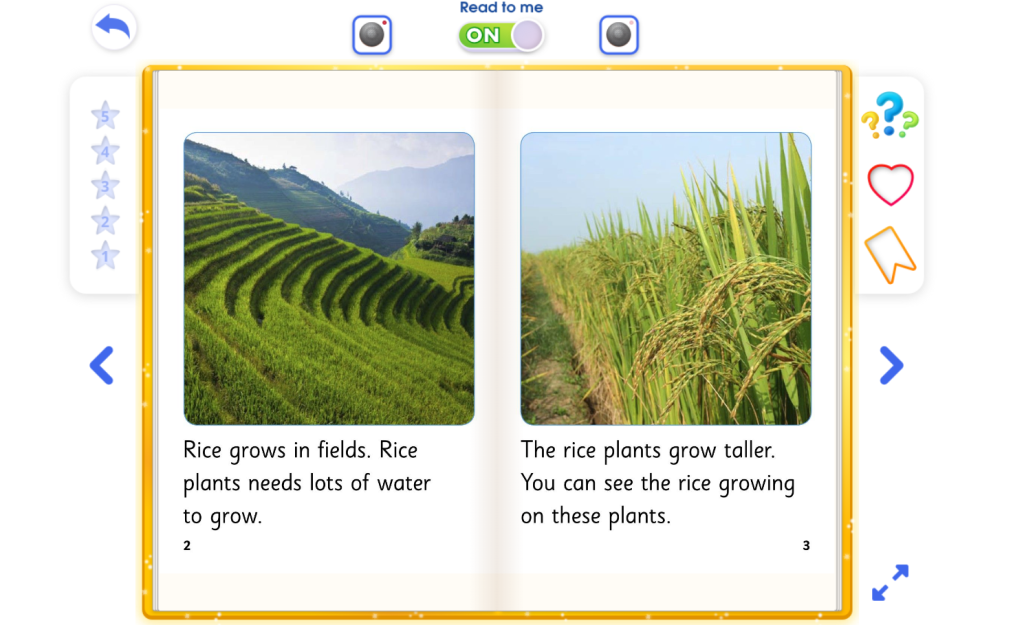 Read-Aloud Feature 